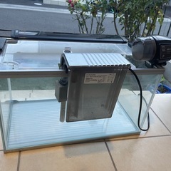 中型水槽、フィルターとライト付、餌自動やり機付、ガラス製。の画像