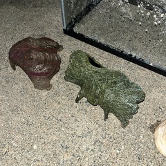 爬虫類育成セットの画像