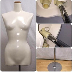LADYs トルソー ( パンツ/高さ調整 可 ) 女性マネキンの画像