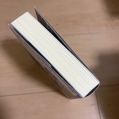 生き残り錬金術師　小説の画像