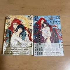 空に響くは竜の歌声