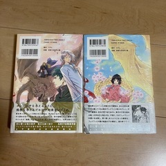 空に響くは竜の歌声の画像