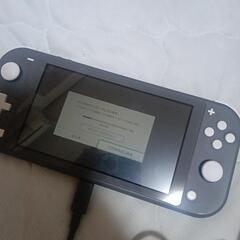 Switchライトとソフトセットの画像