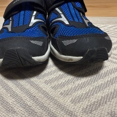瞬足　サンダルの画像