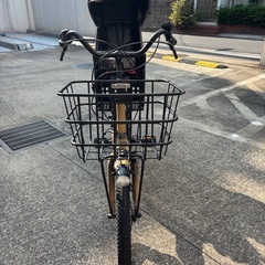 電動自転車 （レインカバー、ヘルメット付き）Gyutto ギュットアニーズ・DX BE-ELAD032Y2 デザートイエローの画像