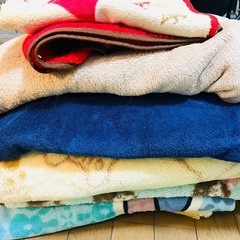 【お話し中】ペット用にいかがでしょうか？　大きさ厚さ様々毛布　ブランケット　8／8までその後処分の画像