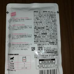 ROYAL CANIN 子猫用 猫用品の画像