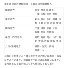 デュビアMIX400匹（ガットロ済）の画像