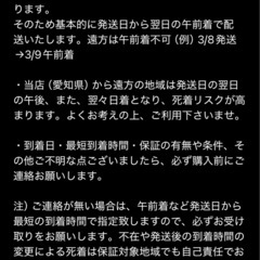 デュビアMIX400匹（ガットロ済）の画像