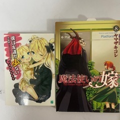 【まとめ売り】漫画やライトノベルの画像