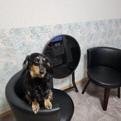 【値下げ】コンパクト テーブル&イス 3点setの画像