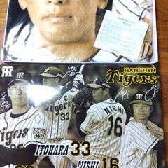 金本矢野バスタオルの画像