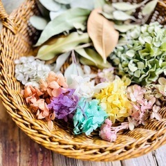 レジンや工作に　プリザーブドフラワー　いろいろの画像