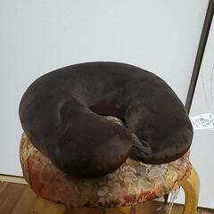 ネックピローの画像