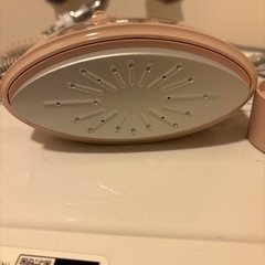 パナソニックスチームアイロンの画像