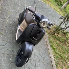 HONDA ジョルノ　Grino 50cc  4stエンジン　調子が良いの画像