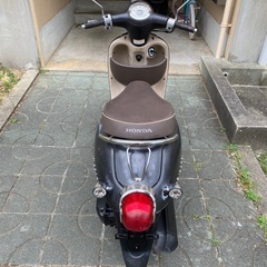 HONDA ジョルノ　Grino 50cc  4stエンジン　調子が良いの画像