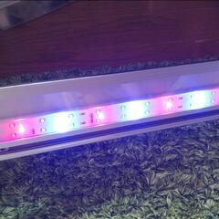 【おまけつき】ニッソー LEDライナー450 シルバー 

の画像