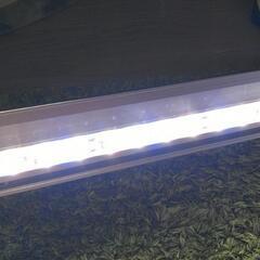 【おまけつき】ニッソー LEDライナー450 シルバー 

の画像