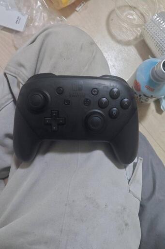 任天堂スイッチ純正プロコン（コントローラーのみ） (みつさき