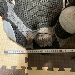 Dainese 上半身プロテクター 黒/灰色の画像