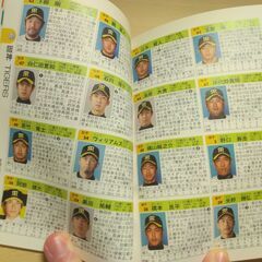 『2008年プロ野球選手写真名鑑』日刊スポーツ出版社の画像