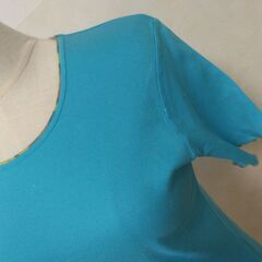 Ｔシャツ　スカイブルー　レディースの画像