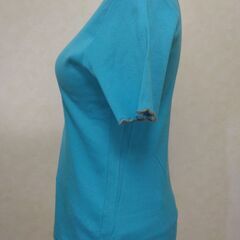 Ｔシャツ　スカイブルー　レディースの画像