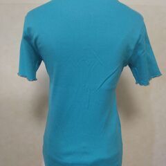 Ｔシャツ　スカイブルー　レディースの画像