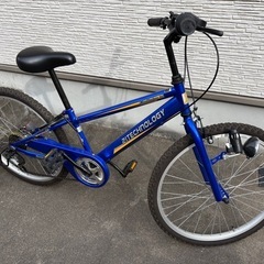 都内近県無料配送パナソニック ビビ・SL BE-FSL431 パールピーコック