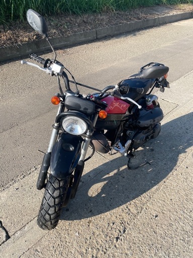 ストリートマジック　2スト　セル1発