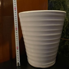 立派な鉢植えの画像