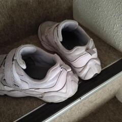 キッズ　スニーカーの画像
