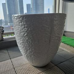 観葉植物鉢カバーの画像