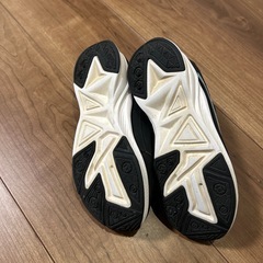 21cmの画像