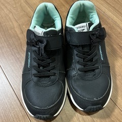 21cmの画像