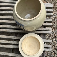 梅干し用カメの画像