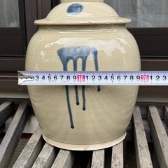 梅干し用カメの画像