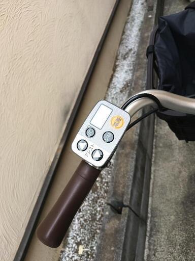 パナソニック ビビ・SL BE-FSL431 パールピーコック (しんゆう