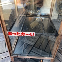 ショーケース保温用の画像