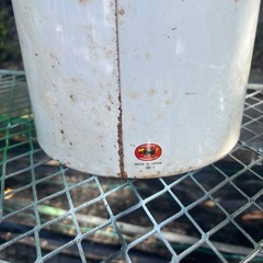 レトロ缶　ディズニー　ミッキー　ダストボックスの画像