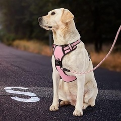 犬用ハーネス ピンク ナイロン製 Sサイズ 首輪 お散歩 ペット用品の画像