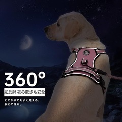 犬用ハーネス ピンク ナイロン製 Sサイズ 首輪 お散歩 ペット用品の画像