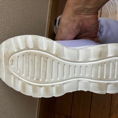 こども　スニーカーの画像
