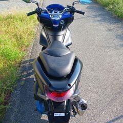 PCX125.マットブラッ.好調.始動動画の画像