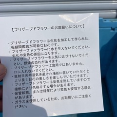 スフィアガラスドーム プリザーブドフラワー ガラスドームアレンジメント 複数セット 残43個の画像