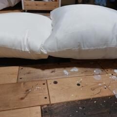 未使用品　ヌードクッションの画像