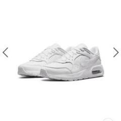 スニーカーAIRMAXSCの画像