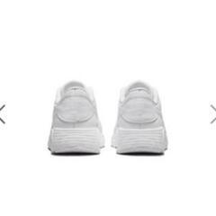 スニーカーAIRMAXSCの画像