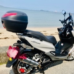 YAMAHA  SMAX155ccの画像